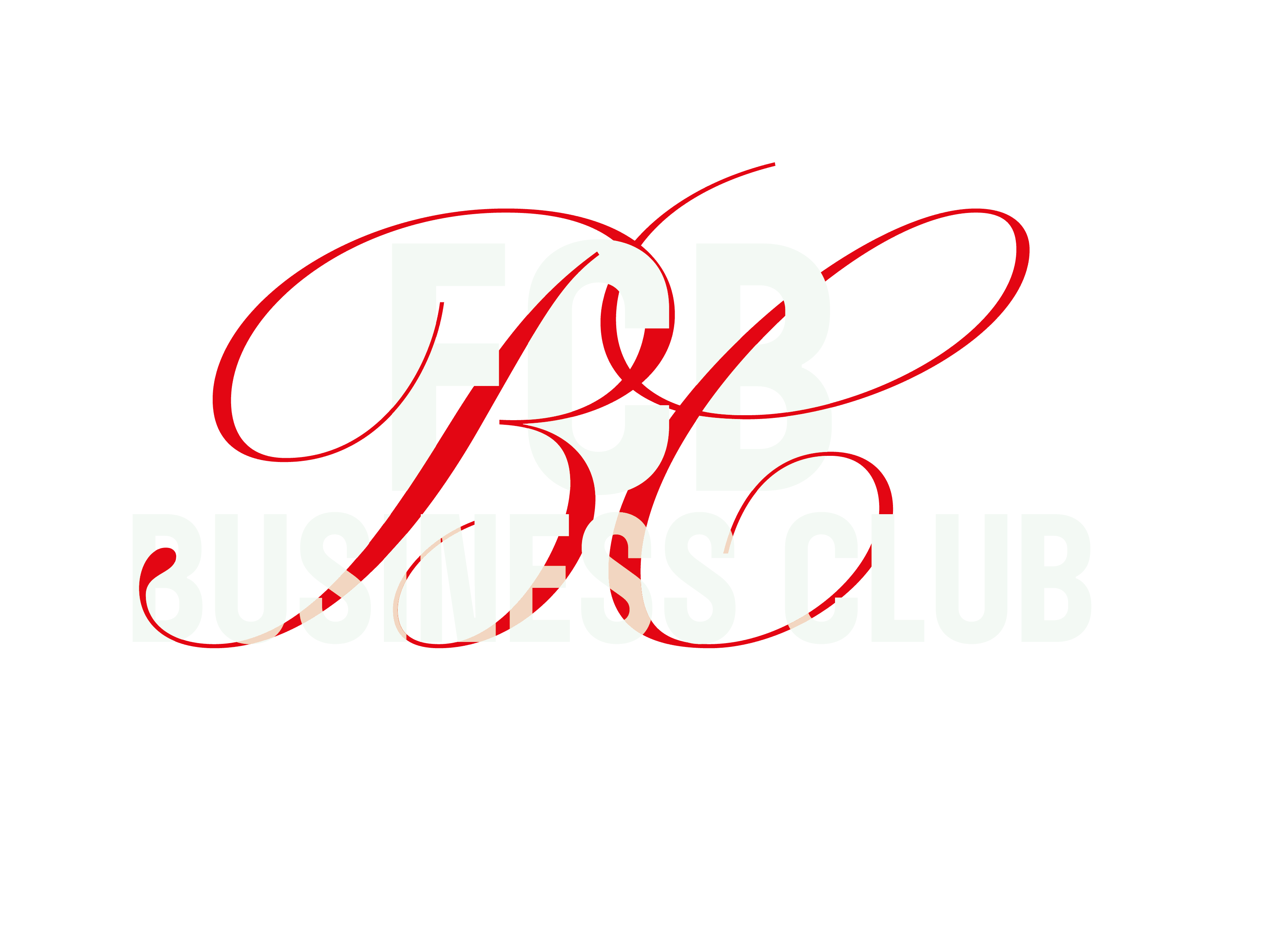 FC Basel - Business Clubs